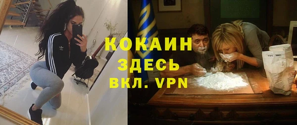 дурь Алексин