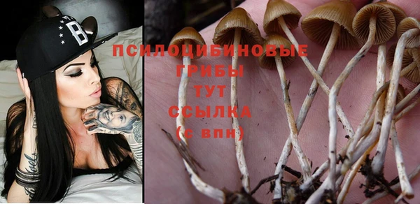 трава Алексеевка